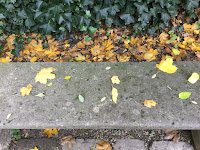 Photo by Sheila Webber Montmartre museum gardens November 2023